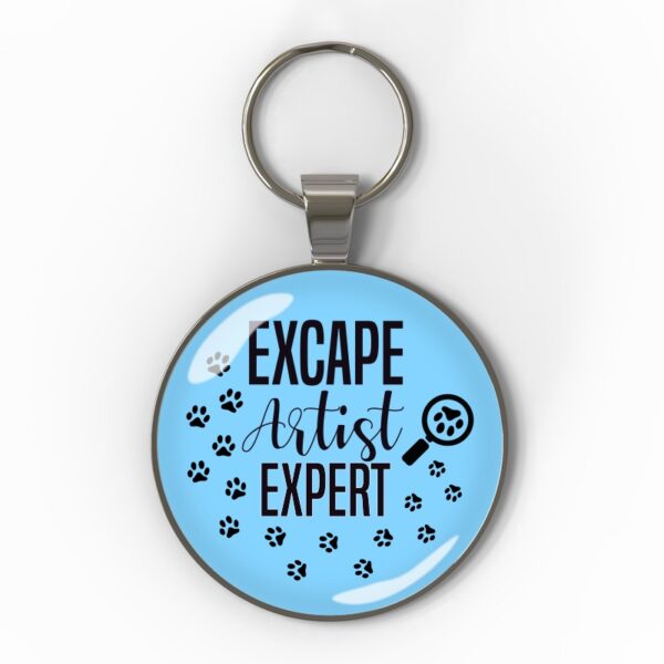 Escape artist expert